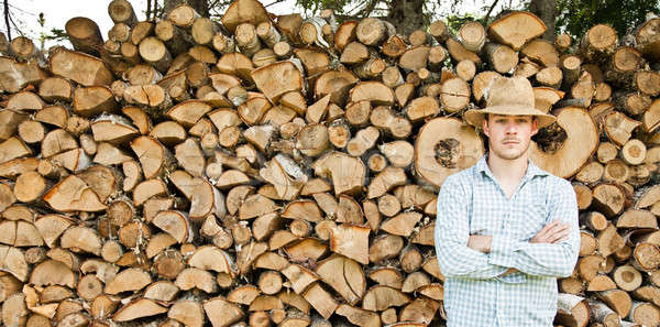 Sombrero de paja madera forestales trabajo casa industria Foto stock © aetb