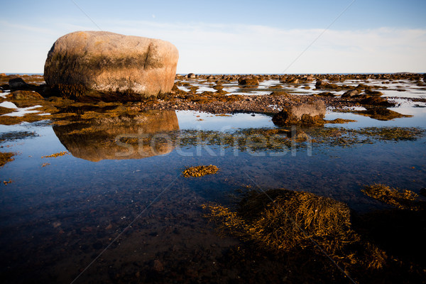 Stones in water Stock photo © aetb