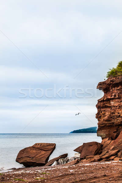 Stockfoto: Mooie · landschap · klif · zeemeeuw · Quebec · Canada