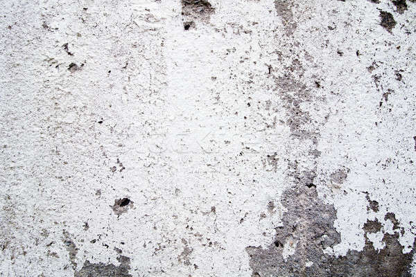 Concrete texture
 Stock photo © aetb