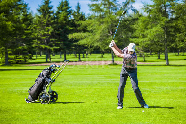 Maturo golfista campo da golf swing estate Foto d'archivio © aetb