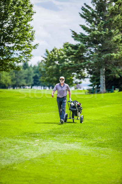 Stockfoto: Volwassen · golfer · golfbaan · lopen · golftas · gras