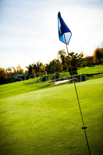 Golfpálya nyár nap fa természet tájkép Stock fotó © aetb