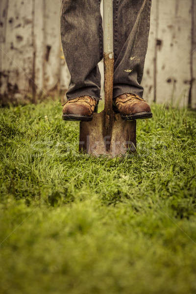 Detalles pies pala granero hierba naturaleza Foto stock © aetb