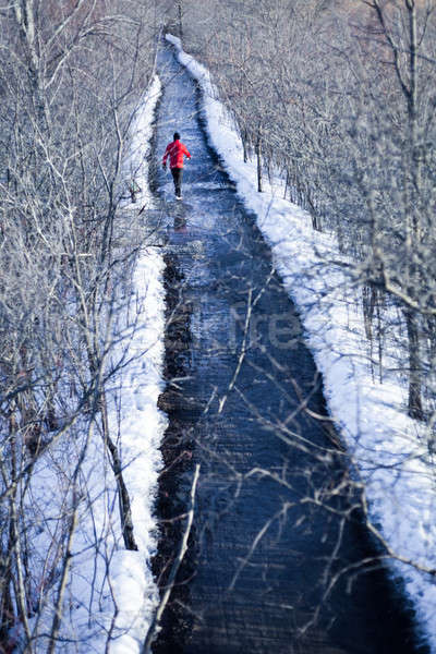 Drogowego lesie piękna ścieżka człowiek charakter Zdjęcia stock © aetb