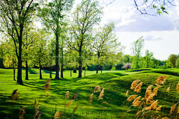 Old and beautiful bumpy golf course Stock photo © aetb