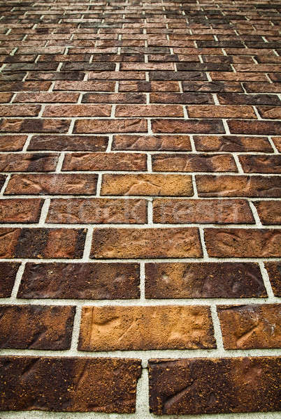 Mur de briques détaillée texture extérieur naturelles soleil Photo stock © aetb