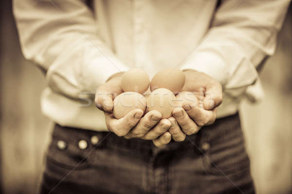 Primer plano agricultor huevos granja mano Foto stock © aetb