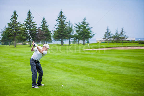 Reifen Golfer Golfplatz Aufnahme Swing Sport Stock foto © aetb