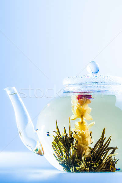 Herbaty kwiat czajniczek kwiaty wody Zdjęcia stock © aetb