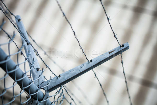 Outdoor Fence Detail of Sharp Barbwire Installation. Stock photo © aetb