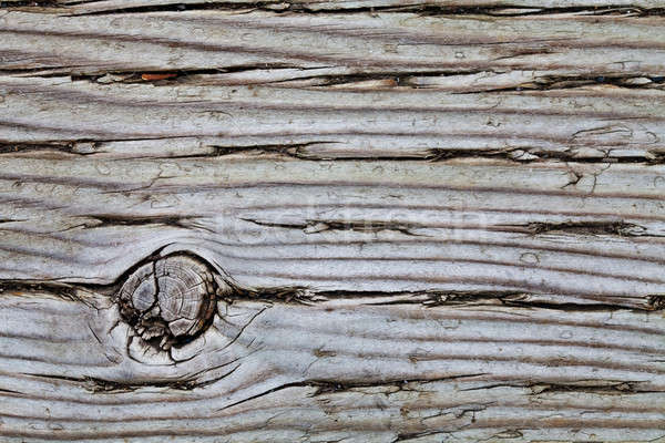 Eski basınç ahşap makro doku ayrıntılar Stok fotoğraf © aetb