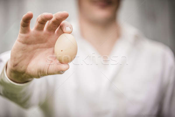 Farmer Showing an Egg Stock photo © aetb