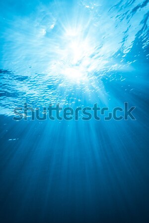 Real Ray of light from Underwater Stock photo © aetb