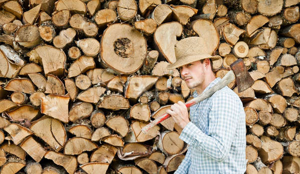 Strohoed hout bos werk home industrie Stockfoto © aetb