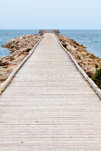 Long Wooden Dock with Observatory and View of the Ocean Stock photo © aetb