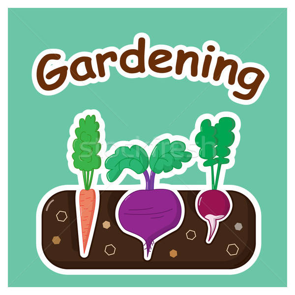 Gardening with vegetables Stock photo © Agatalina