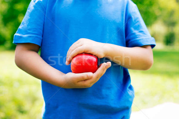 Pomme mains pomme rouge deux enfant Photo stock © Agatalina