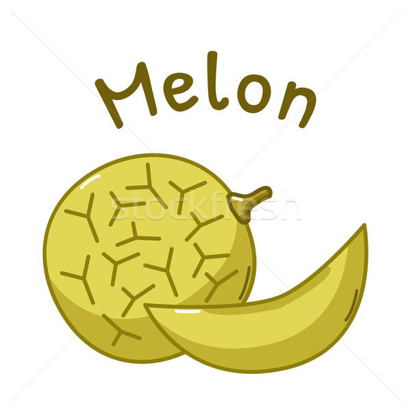 Stock photo: Isolated melon icon