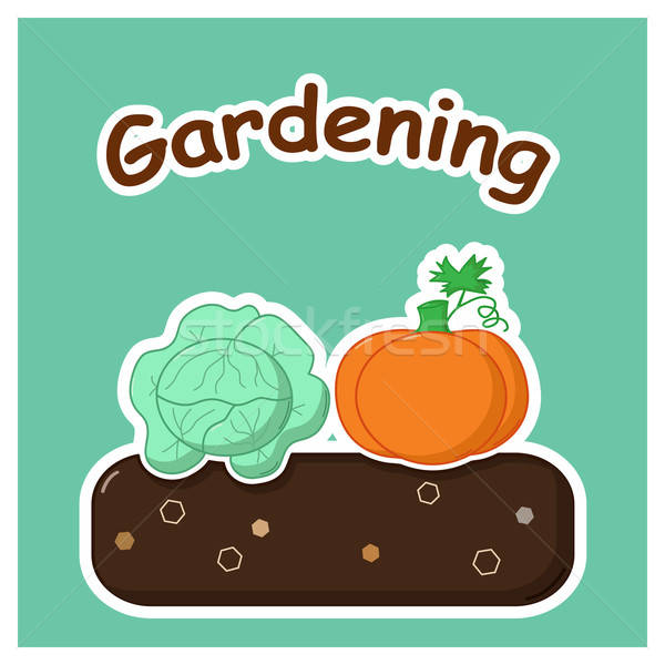 Gardening with vegetables Stock photo © Agatalina