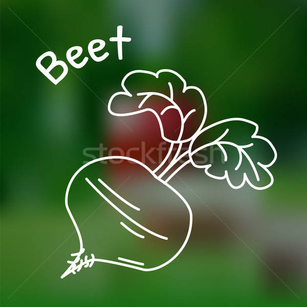 Stock photo: Thin line beet icon