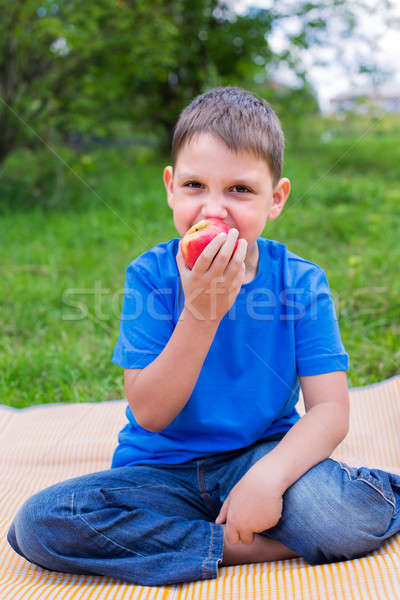 Chłopca jedzenie czerwone jabłko posiedzenia plaży charakter Zdjęcia stock © Agatalina