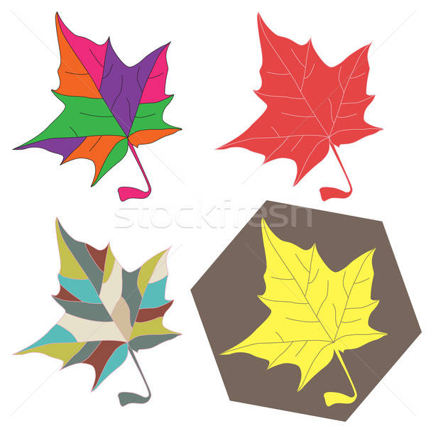 Maple leave set Stock photo © Agatalina