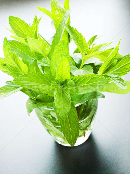 Mint in glass Stock photo © AGfoto