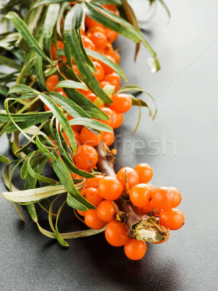 Sea ​​buckthorn Stock photo © AGfoto