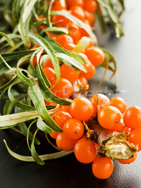 Sea ​​buckthorn Stock photo © AGfoto