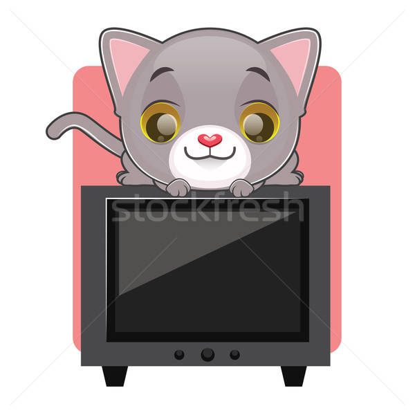 Drăguţ pisica gri şedinţei top televiziune fundal Imagine de stoc © AgnesSz