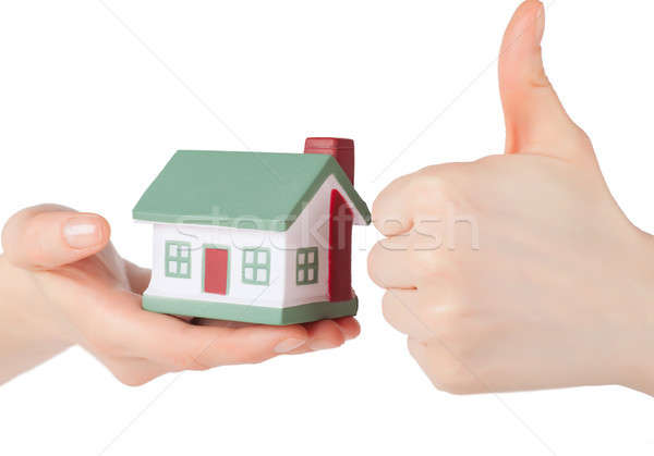 House Stock photo © AGorohov