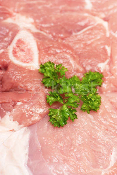 Mięsa pietruszka zielone żywności restauracji butelki Zdjęcia stock © AGorohov