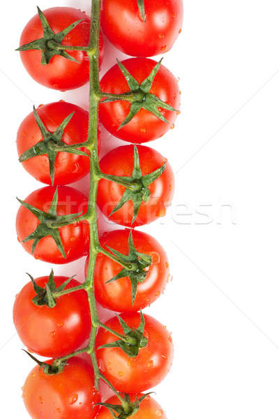 Foto stock: Tomates · frescos · maduro · tomates · cherry · rama · aislado