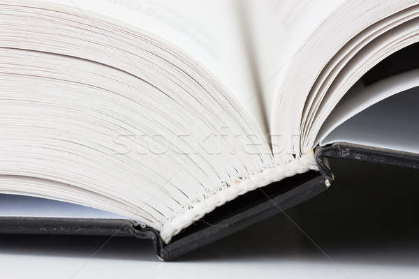 Opened book Stock photo © AGorohov