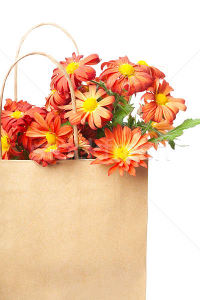 Chrysanthemums in a paper bag Stock photo © AGorohov
