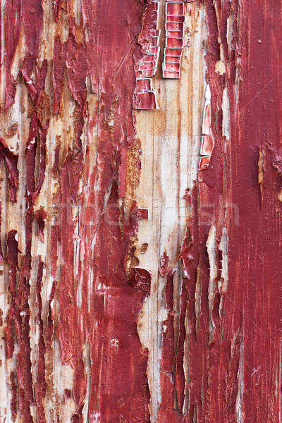 Stock photo: Peeling paint