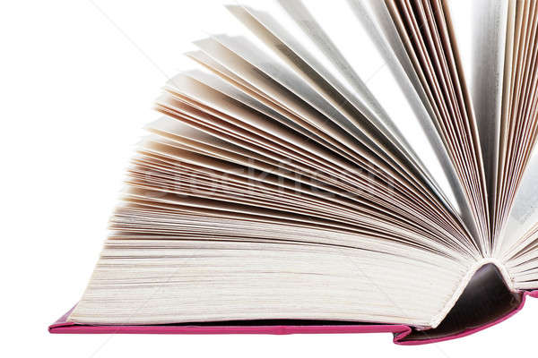 Open book Stock photo © AGorohov