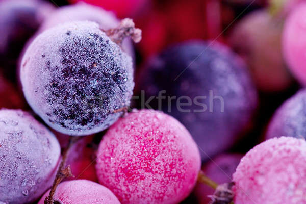 凍結 漿果 宏 視圖 紅醋栗 藍莓 商業照片 © AGorohov