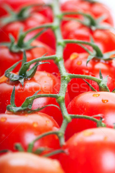 Domates taze olgun kiraz domates şube gıda Stok fotoğraf © AGorohov