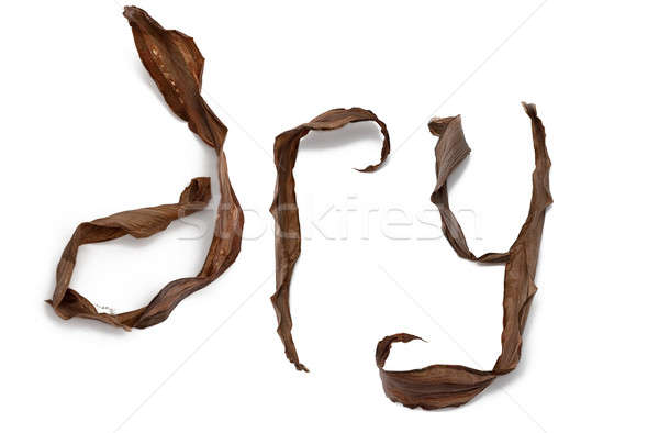 Dry Stock photo © AGorohov