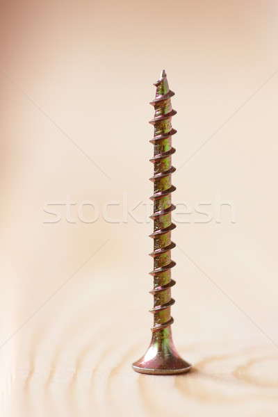 Screw Stock photo © AGorohov