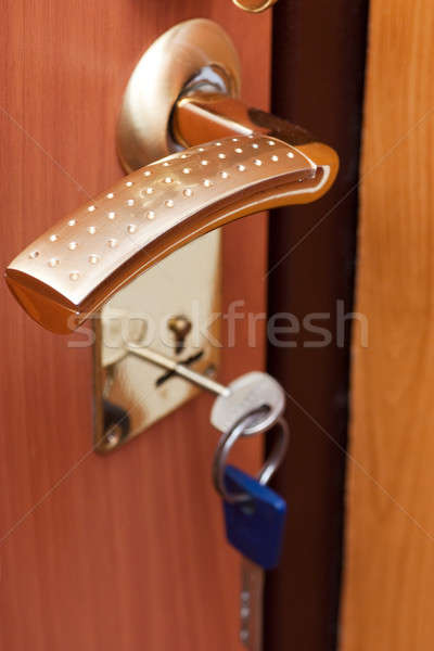 Doorlock Stock photo © AGorohov