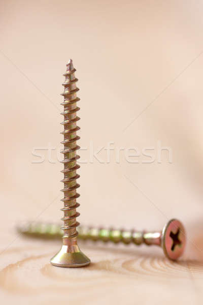 Screw Stock photo © AGorohov