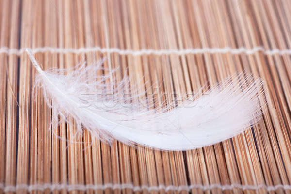 Feather Stock photo © AGorohov