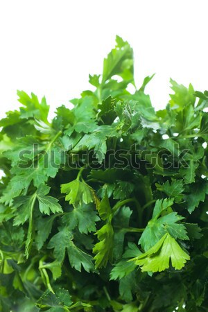 Parsley Stock photo © AGorohov