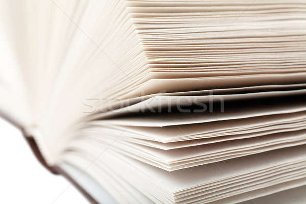 Libro abierto blanco papel libros fondo lectura Foto stock © AGorohov