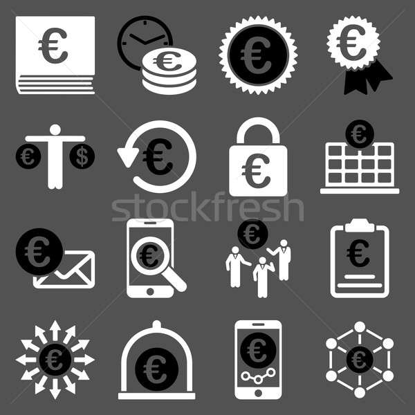 Euro banking business and service tools icons Stock photo © ahasoft