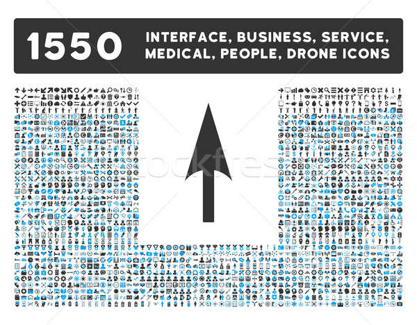 Arrow Axis Y Icon and More Interface, Business, Tools, People, Medical, Awards Flat Glyph Icons Stock photo © ahasoft