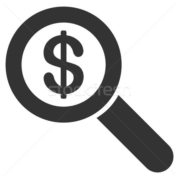 Financial Audit Loupe Vector Icon Stock photo © ahasoft